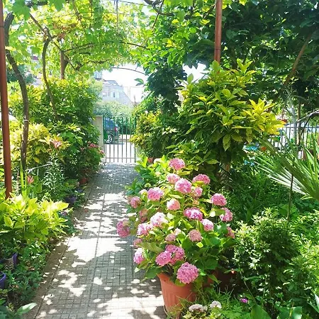 Kiki - Family Primorsko