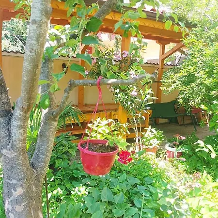 Kiki - Family Primorsko