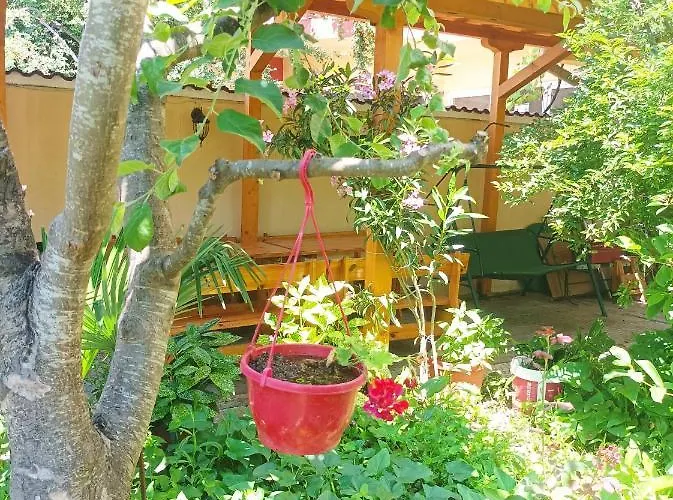 Kiki - Family Primorsko