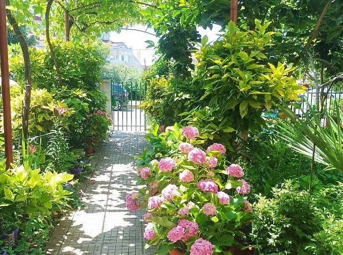 Kiki - Family بريمورسكو